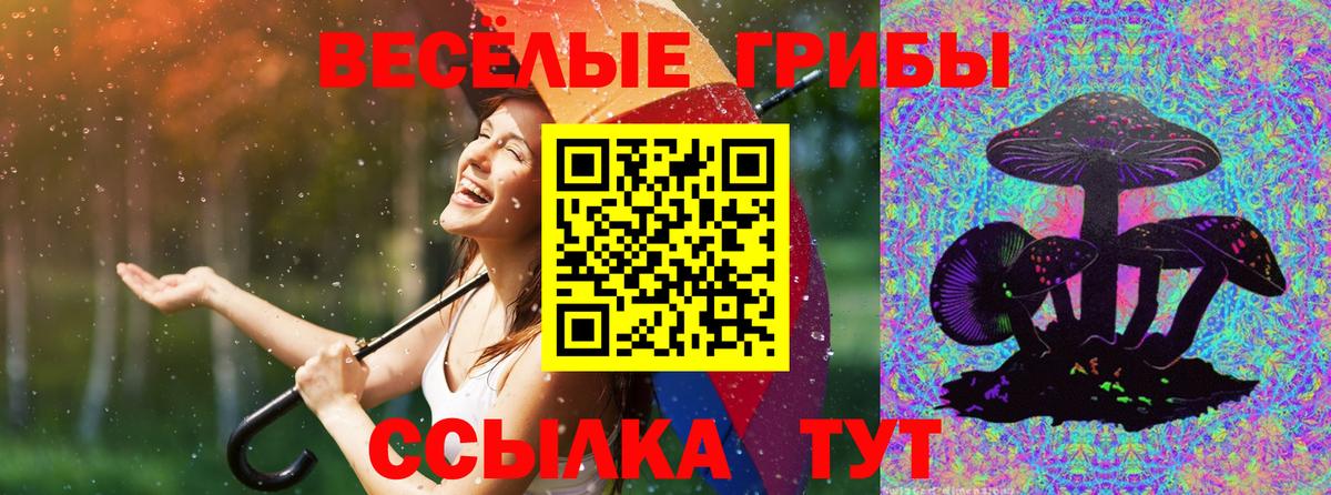 Галлюциногенные грибы Magic Shrooms Абинск