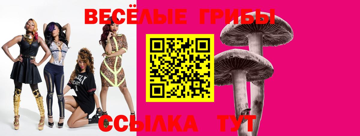 где продают   Галлюциногенные грибы ЛСД  Абинск  Вход с VPN  Галлюциногенные грибы GOLDEN TEACHER 